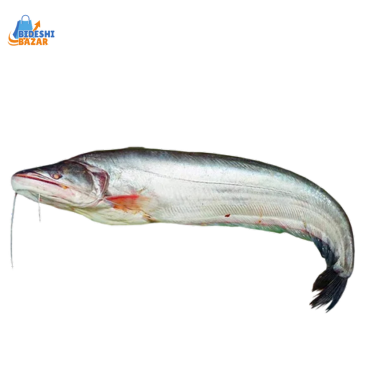 Boal - Boal-Fisch